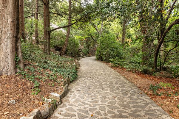 Stone Walkway Repair in Springfield